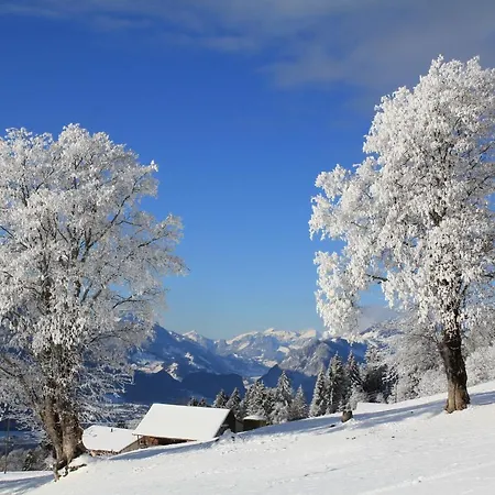 Zeit & Traum Privat 4* بيتنبرغ