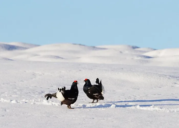 Zeit & Traum Privat 4*