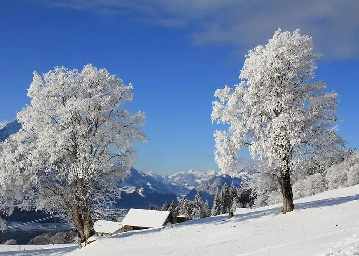 Zeit & Traum Privat 4* Beatenberg